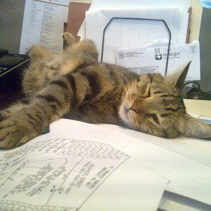 Meet your Posher, Christi